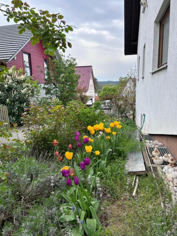 Fewo Michistrasse Forchheim  Εξωτερικό φωτογραφία